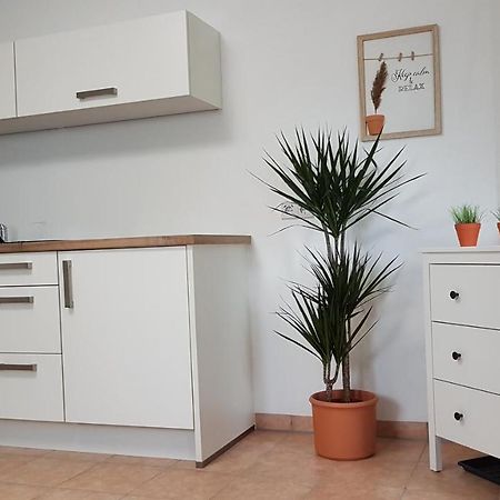 Tauberperle Appartement Weikersheim Buitenkant foto