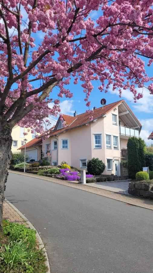 Tauberperle Appartement Weikersheim Buitenkant foto